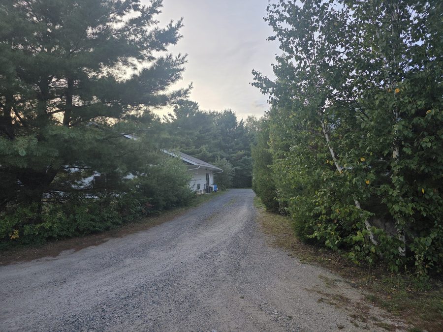 Pull-through driveway and wooded approach